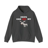 HD-NY #1: "2025 CAN KISS MY A$$" - Unisex Hoodie